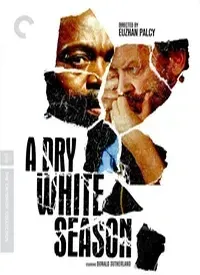 A Dry White Season (English) (1989)