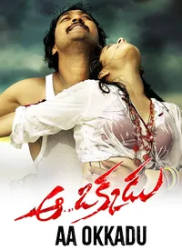 Aa Okkadu (Telugu) (2009)